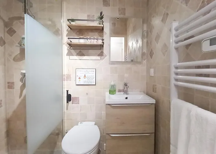 Apartman Palais Carnot With Balcony And A C Cannes